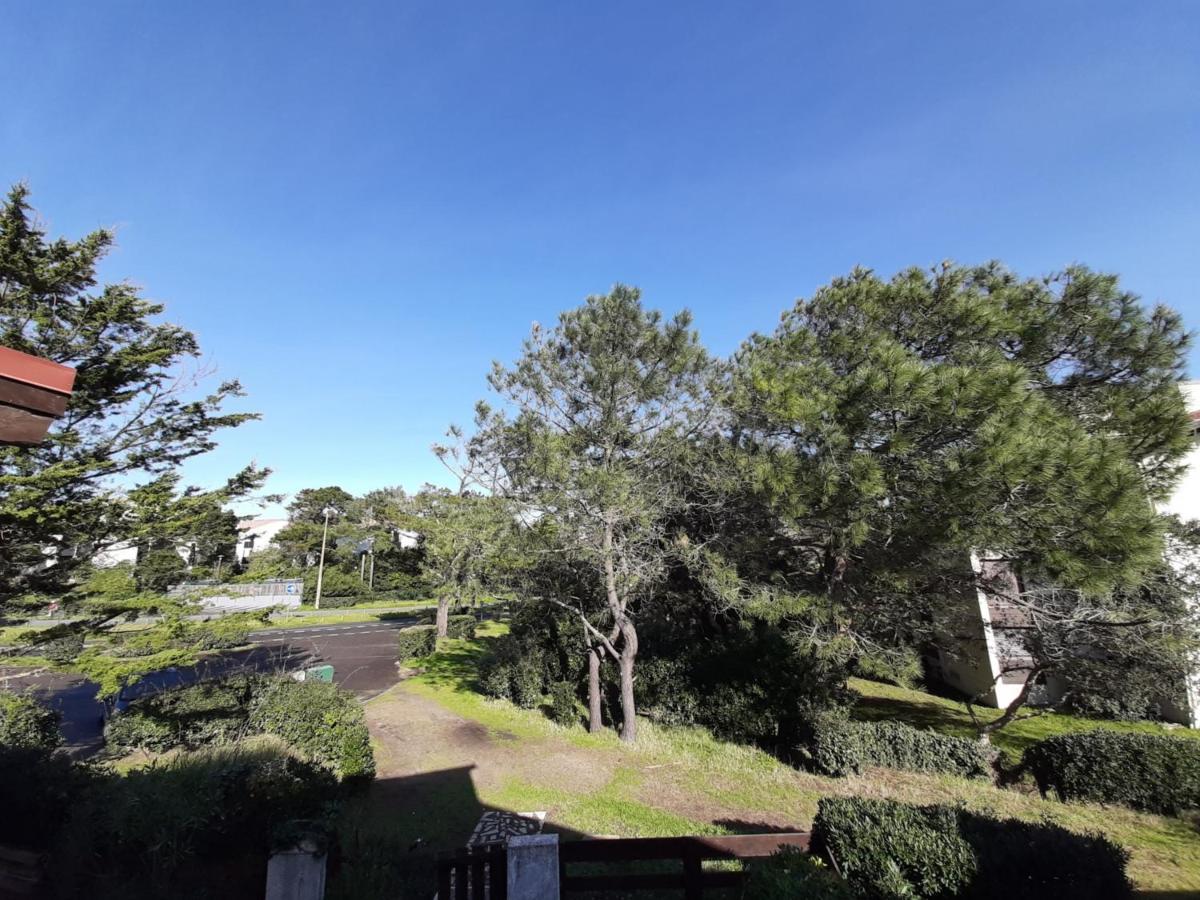 Maison Renovee Avec Terrasse A 700M Des Plages, Marche Et Activites - Tennis Et Piste Cyclable A 10M - Fr-1-239-385 Seignosse Exterior foto